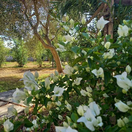 Casa Frisa-carovigno كاروفينيو