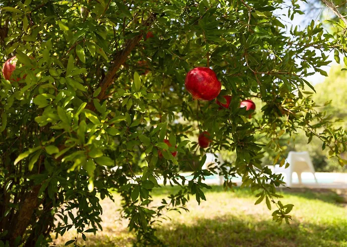Σπίτι διακοπών Casa Frisa-carovigno *